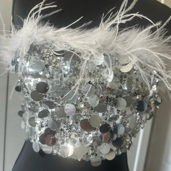 Silver Sequin Feather Tube Top - Picture 2 of 10